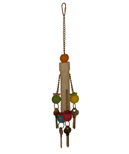 Adventure Bound Key Tug Parrot Toy